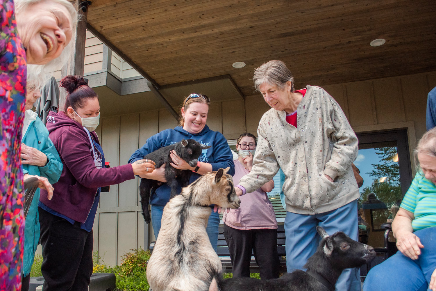 Nicole Desmond, center left, smiles while holding a baby pygmy goat at Woodland Village Concepts of Chehalis while visiting residents and staff Thursday afternoon.