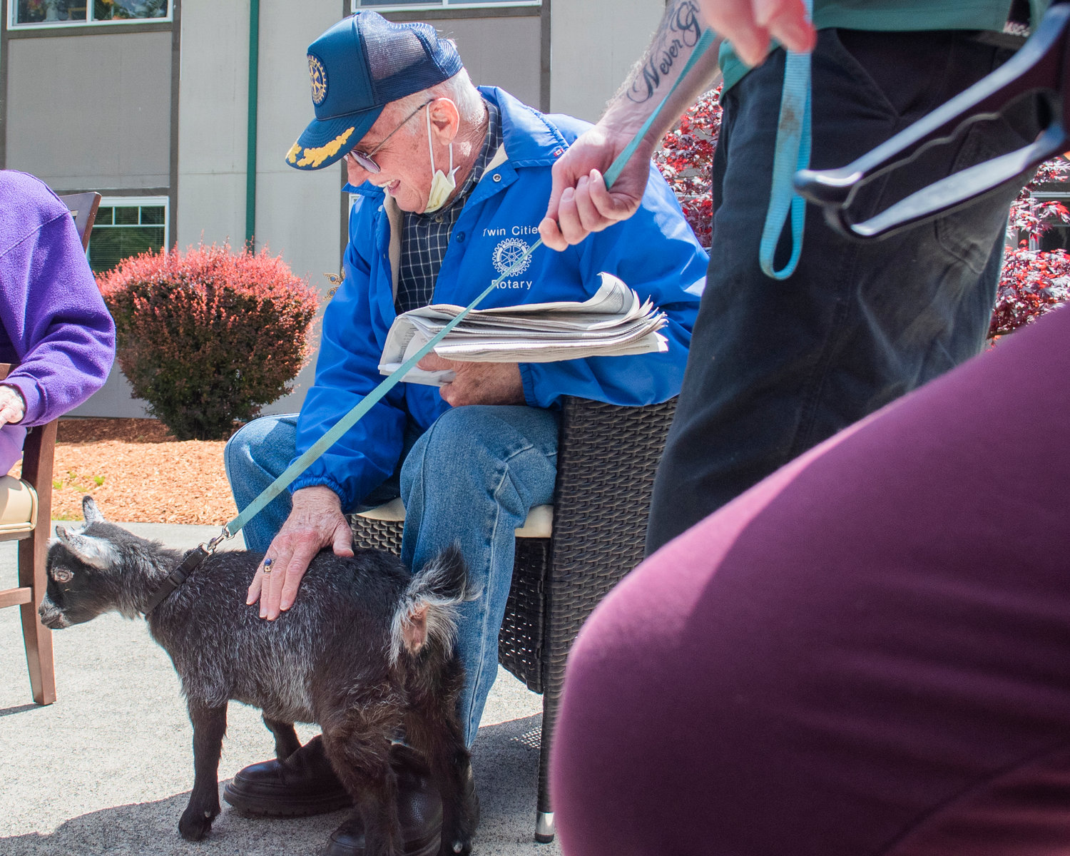 Bill Logan smiles while holding a copy of The Chronicle and petting a pygmy goat at Woodland Village Concepts of Chehalis Thursday afternoon.