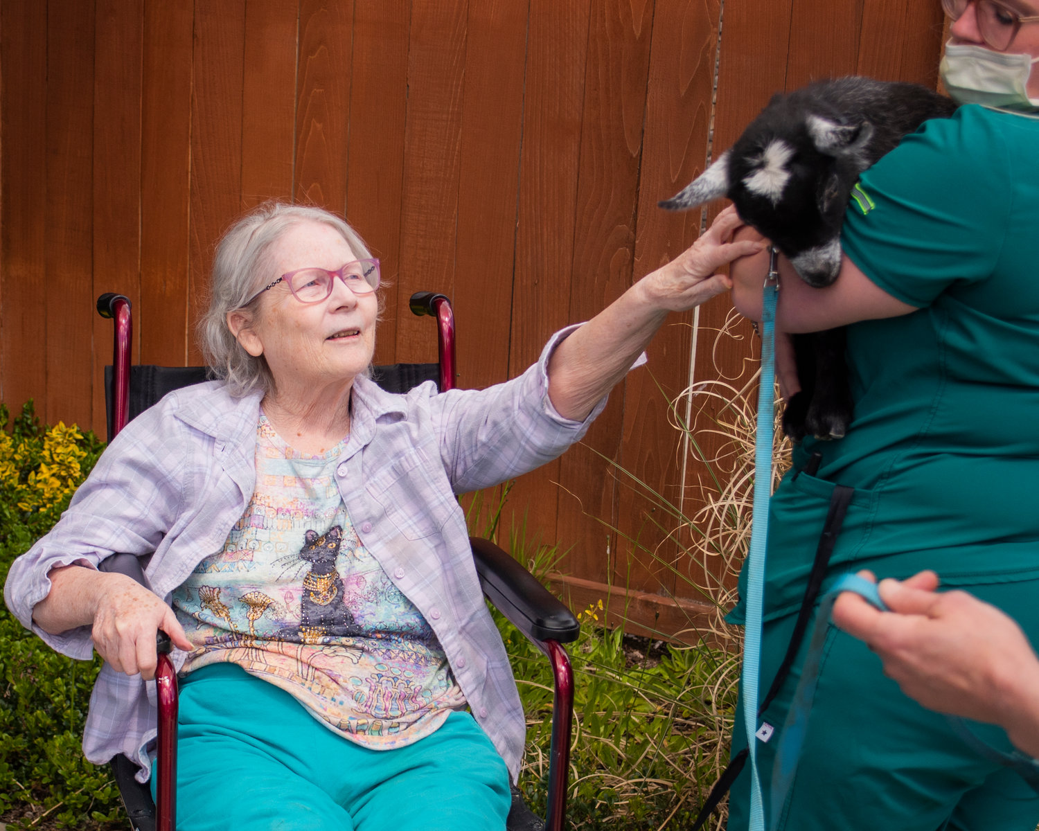 Barb Boohm reaches up to pet a baby pygmy goat at Woodland Village Concepts of Chehalis on Thursday.