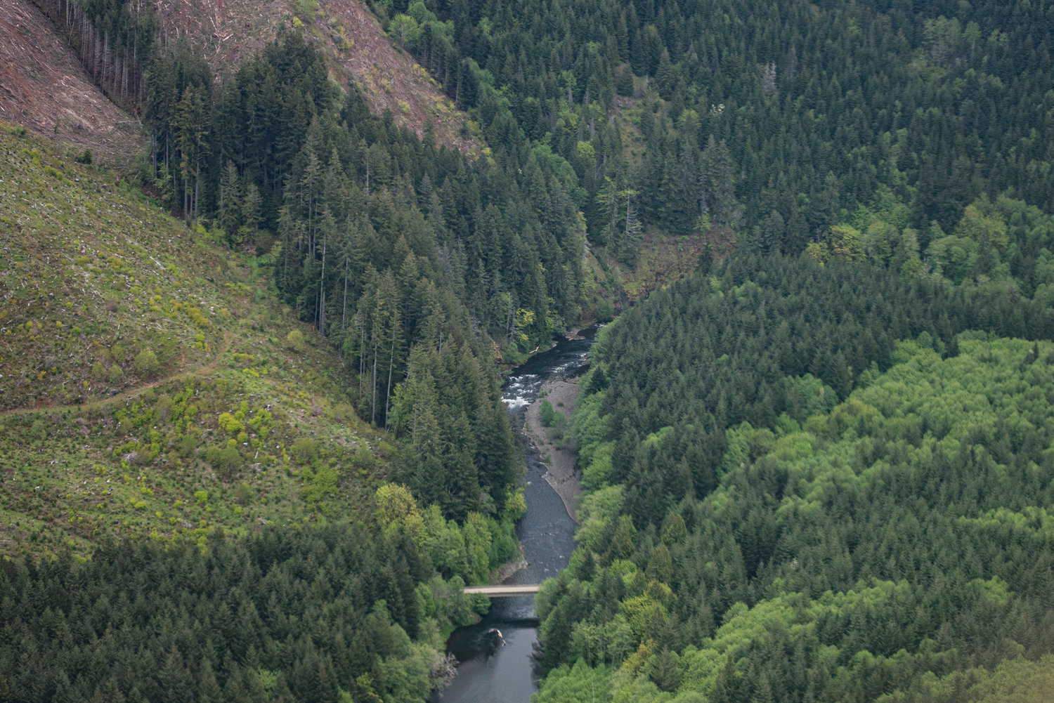 The Chehalis River runs through Weyerhaeuser property upstream of Pe Ell as it comes out of the Willapa Hills.