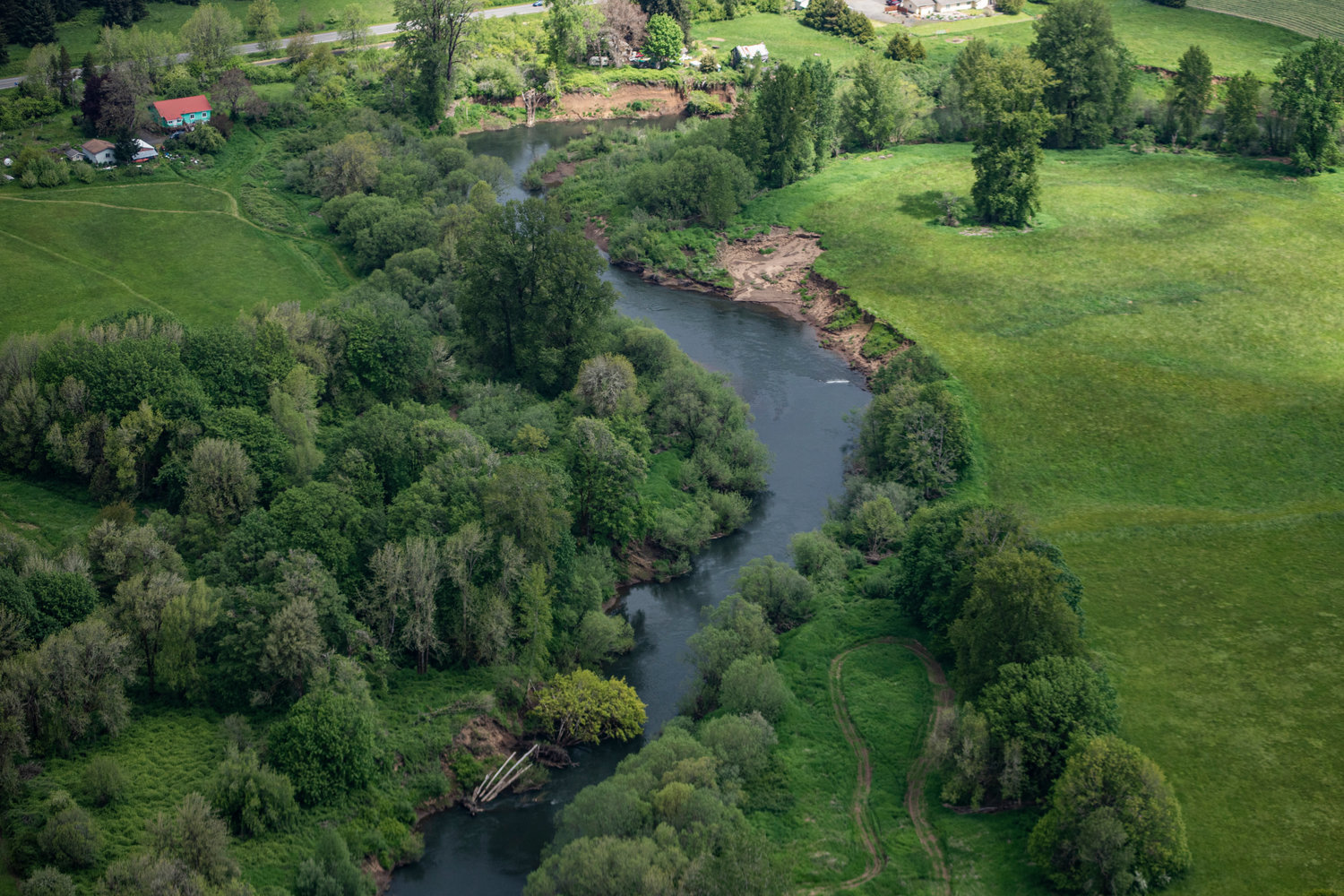 The Chehalis River runs through farmland near Doty and Dryad.
