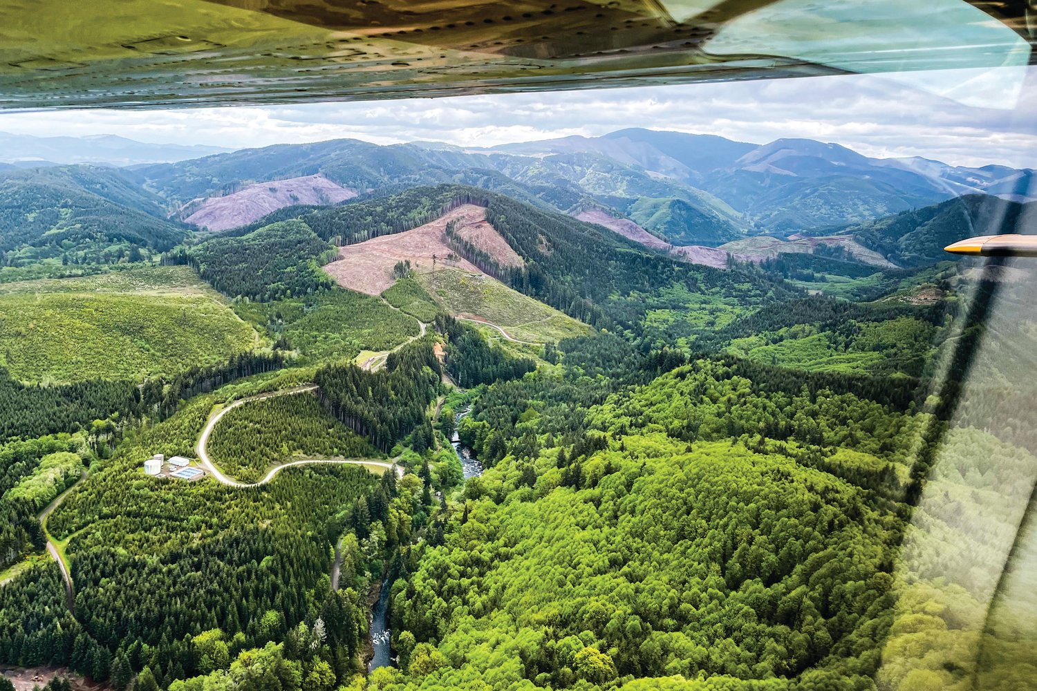The Chehalis River headwaters begin in the Willapa Hills seen from Dave Neiser’s Cessna Cardinal on Friday.