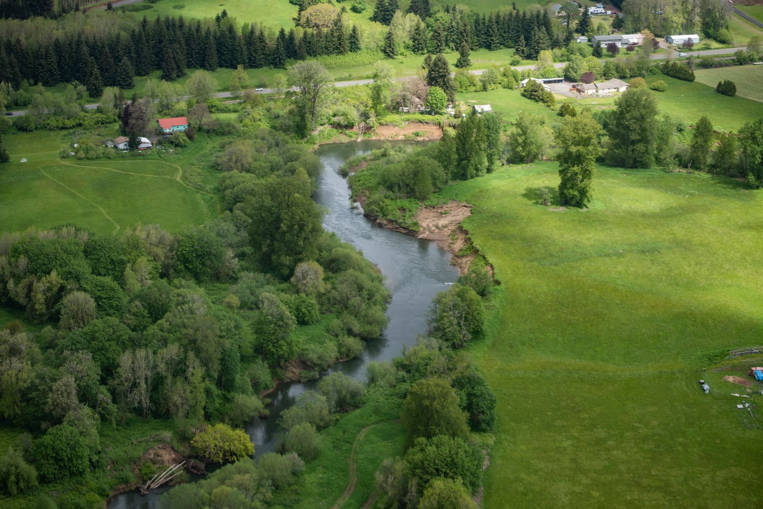 The Chehalis River runs through farmland near Doty and Dryad.