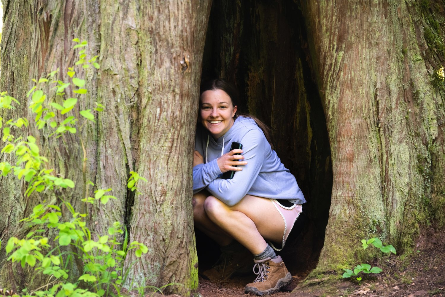 Reporter Isabel Vander Stoep smiles for a photo inside the trunk of a tree in an old growth forest near Rainbow Falls State Park off state Route 6.