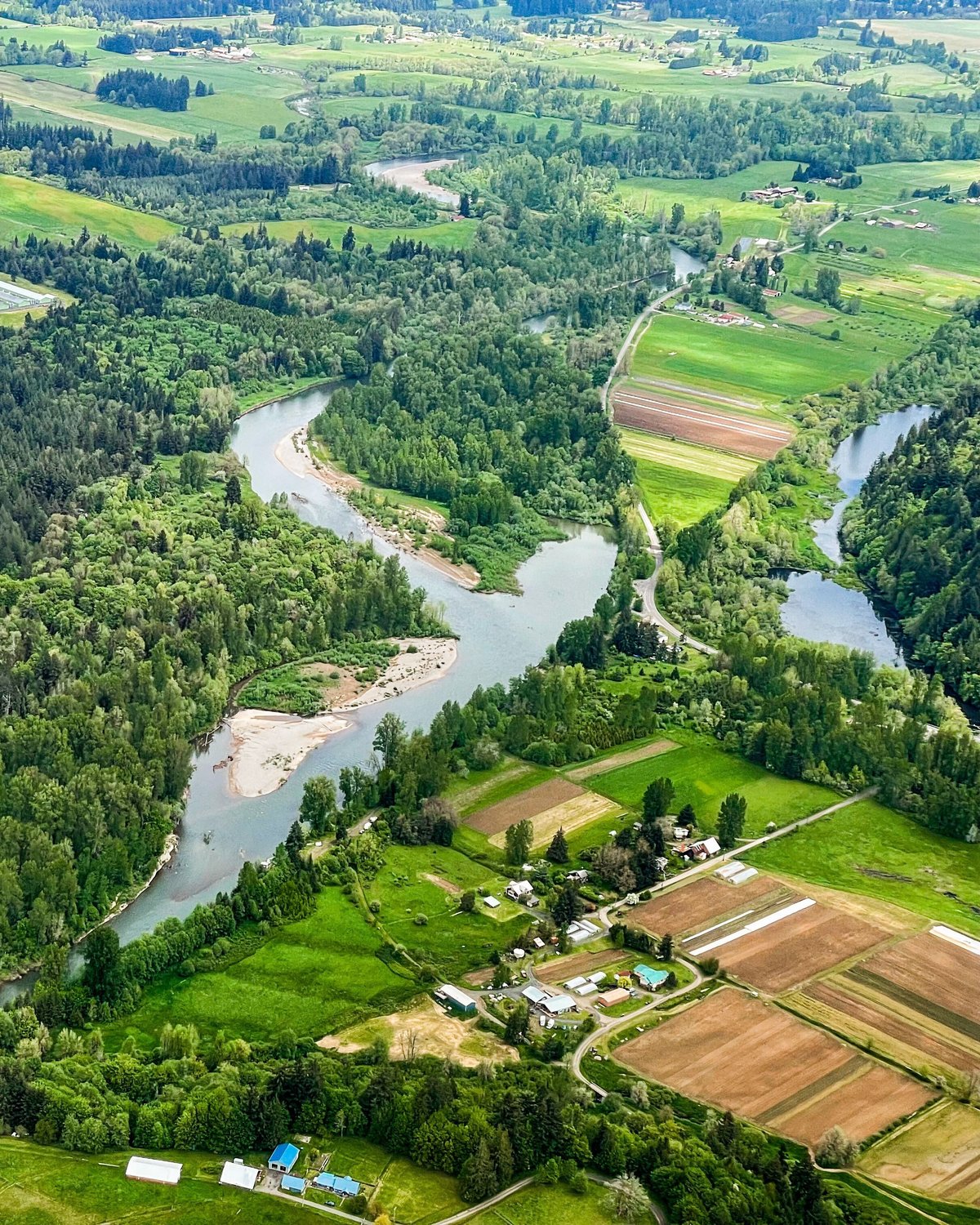 The Chehalis River flows near farms in the Independence Valley.