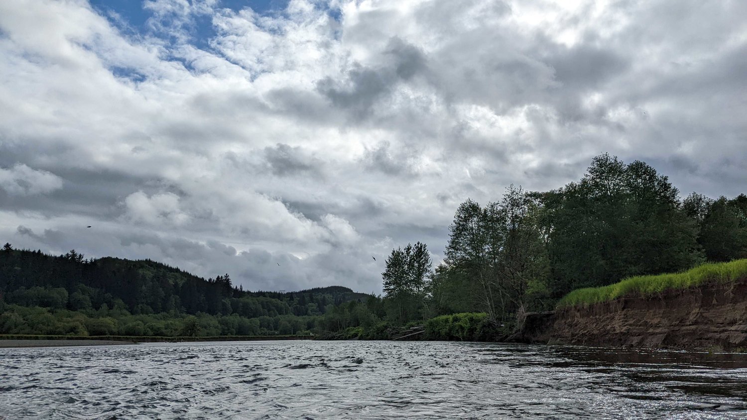 The Chehalis River is seen from kayak near Montesano.