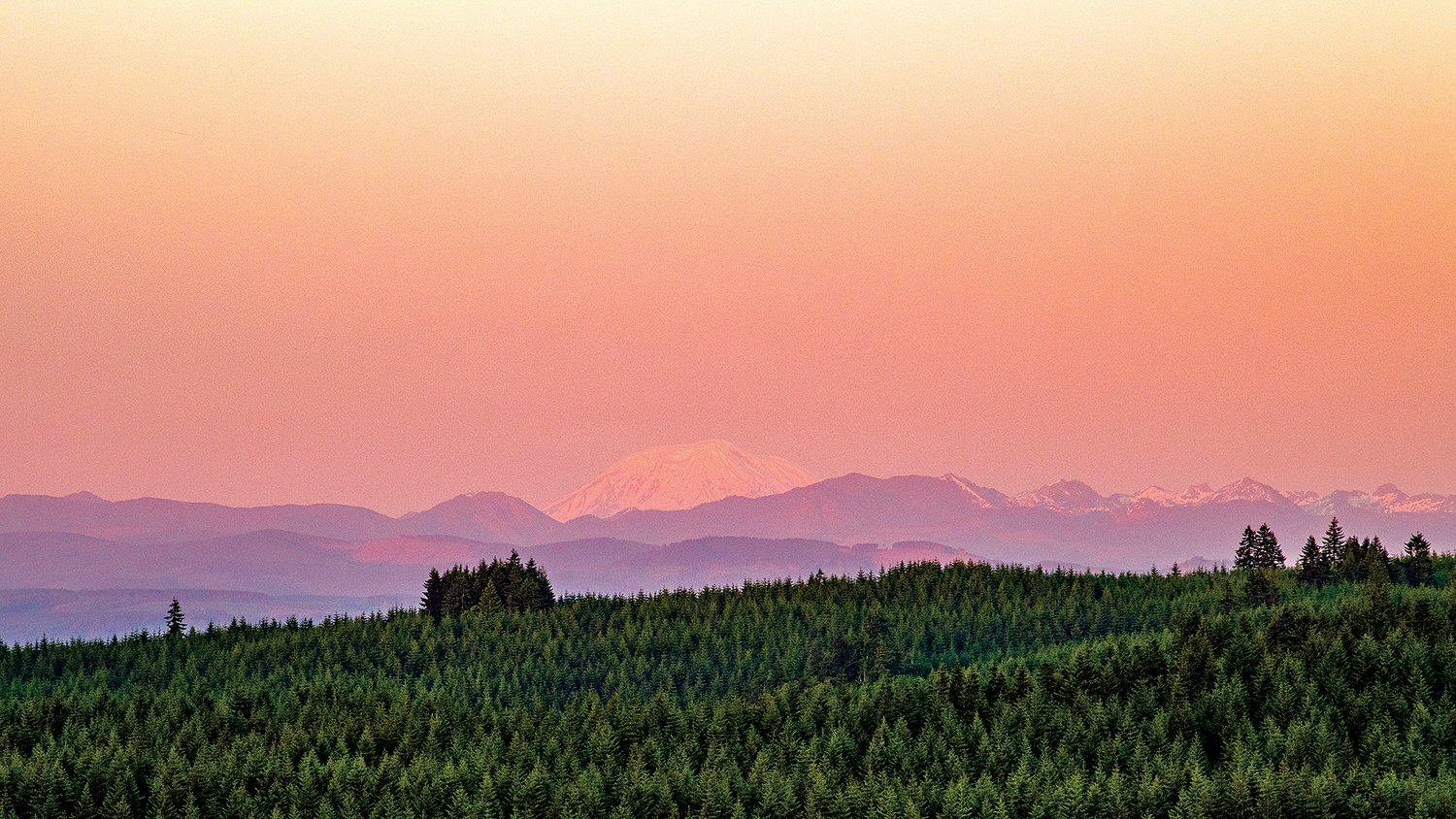 Mount Adams is cast in a hazy pink during the sunset, pictured from Crego Hill in Adna on Tuesday evening.