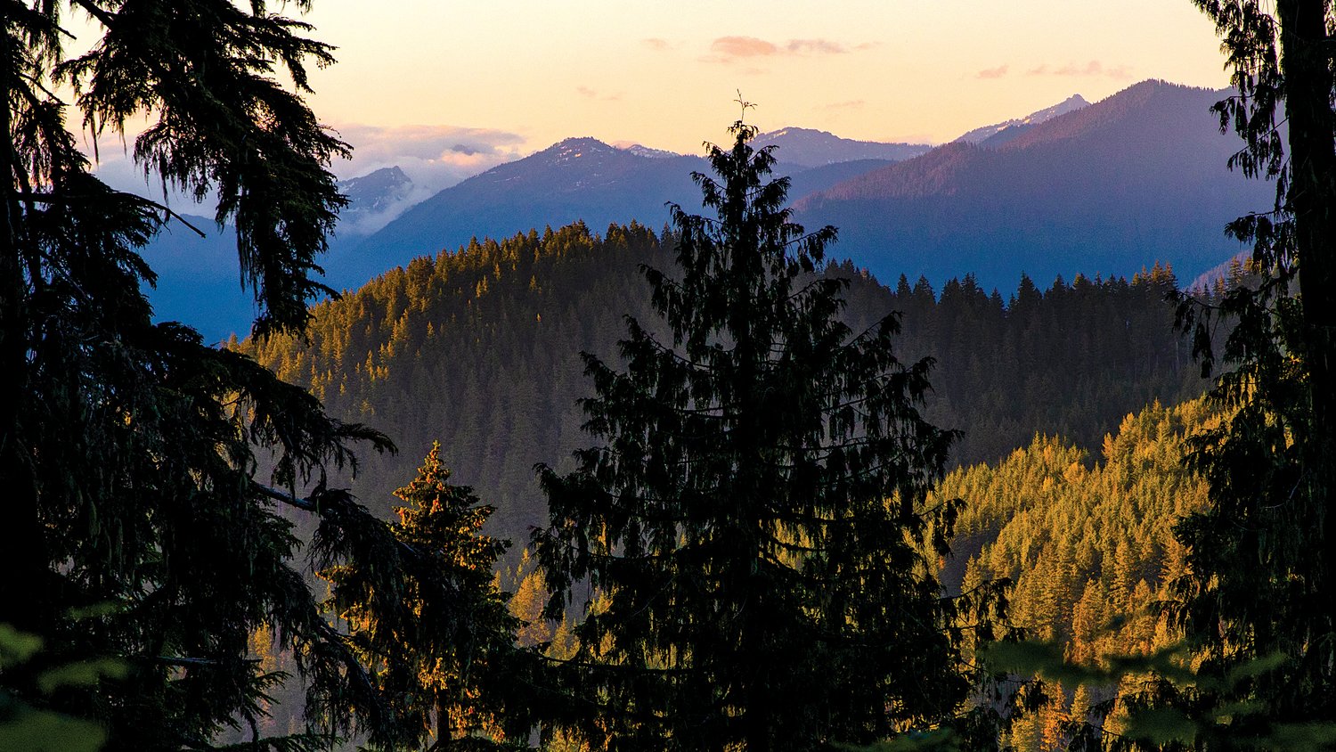 The sun sets over the Gifford Pinchot National Forest on Wednesday.