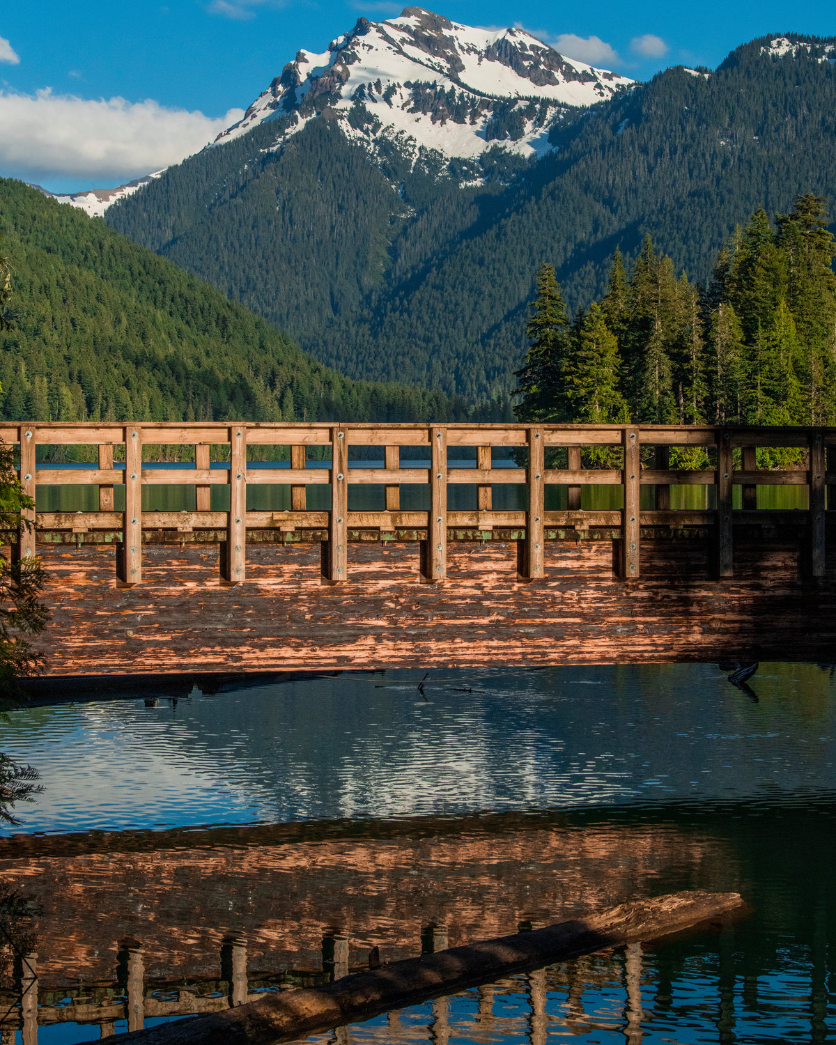 A bridge crosses water along the Packwood Lake trail Wednesday evening.