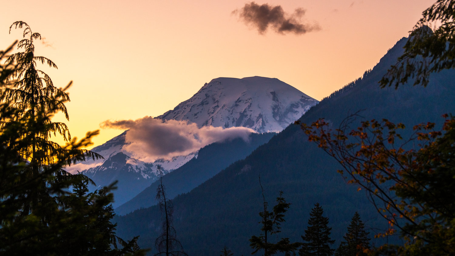 Mount Rainier is seen from Forest Service Road 1260 out of Packwood just after sunset Wednesday evening.