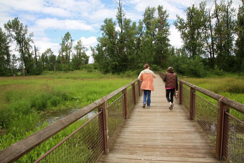 Visitors walk across a bridge on the trails at the Steigerwald Lake National Wildlife Refuge.