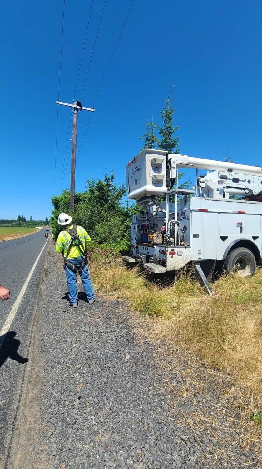 Raven sits on the crossarm of a utility pole west of Chehalis as Lewis County Public Utility District employees prepare to make a rescue attempt.