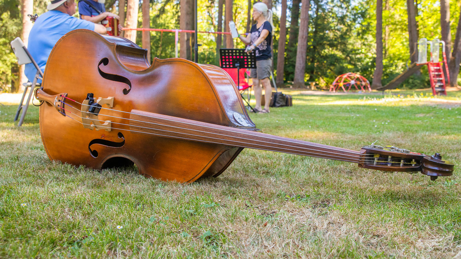 A double bass sits in the grass at Winolequa Memorial Park in Winlock Saturday morning during Pickersfest.