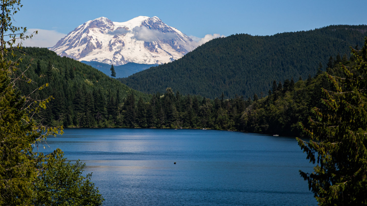 Mount Rainier towers over Mineral Lake on Sunday.