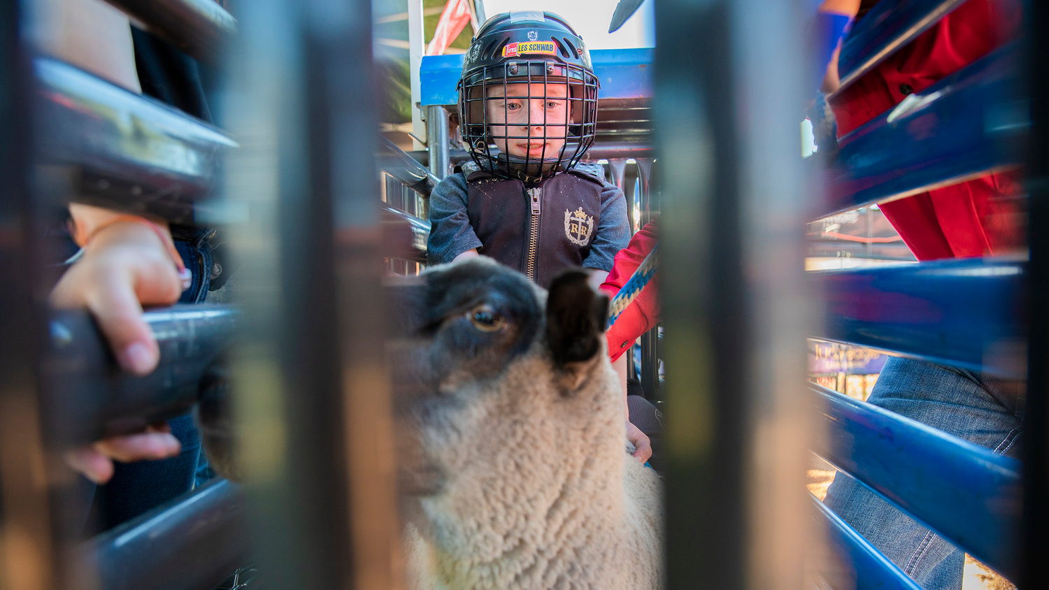 Mason Stacy, 6, of Rochester, prepares to ride solo in a mutton busting event Tuesday afternoon at the Southwest Washington Fairgrounds.