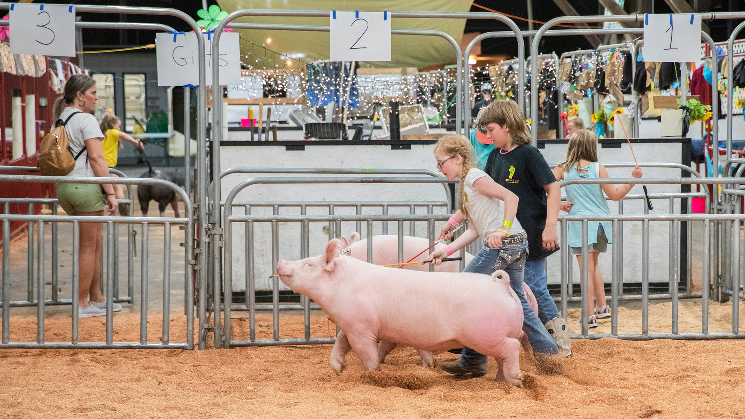 Elizabeth South, 9, walks with Bacon, a Yorkshire-mix, alongside her brother Dalton, 12, and a pig named Trouble, Tuesday night at the Southwest Washington Fairgrounds in Centralia.