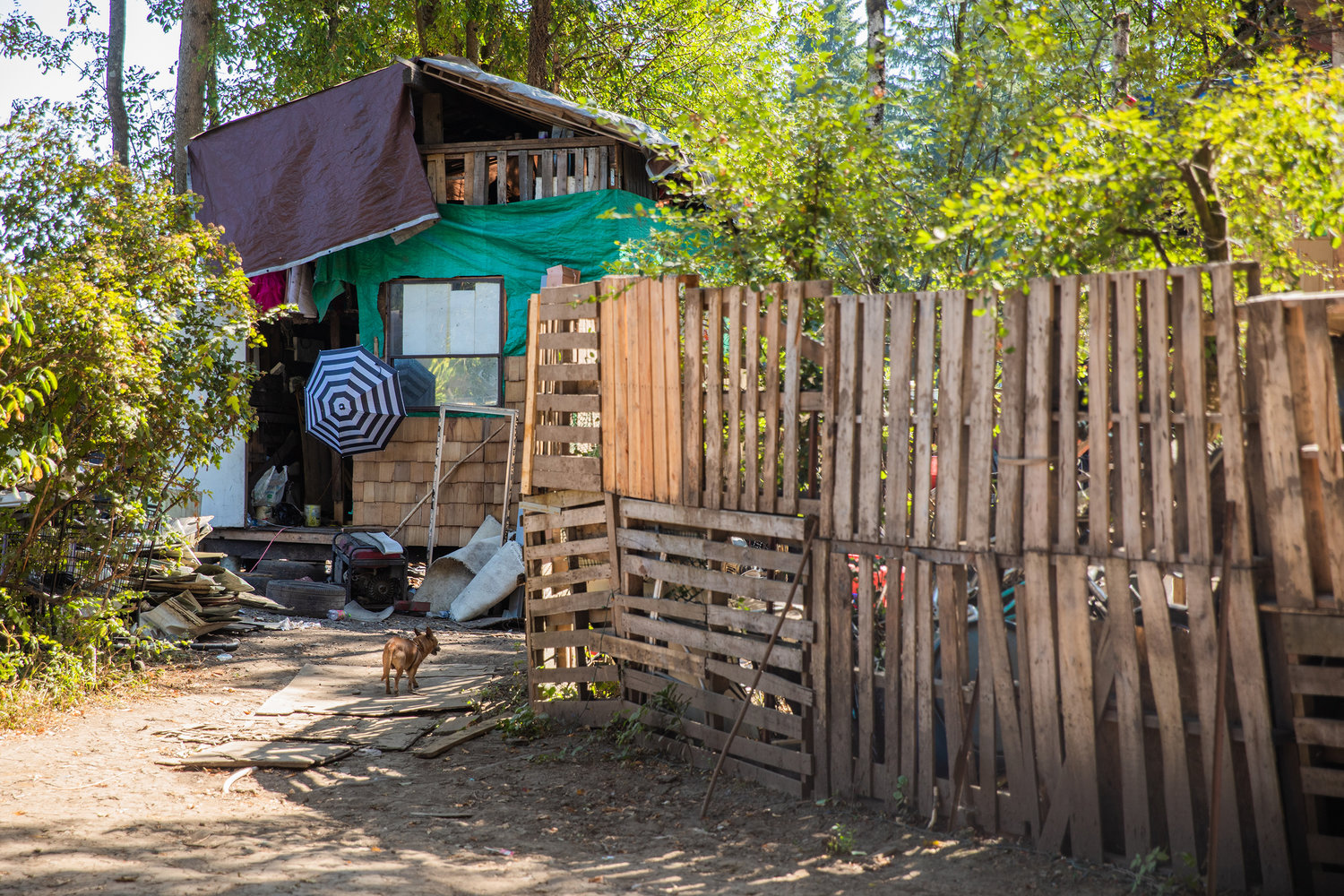 A generator sits outside a structure at a homeless encampment at the end of Eckerson Road in Centralia last month.