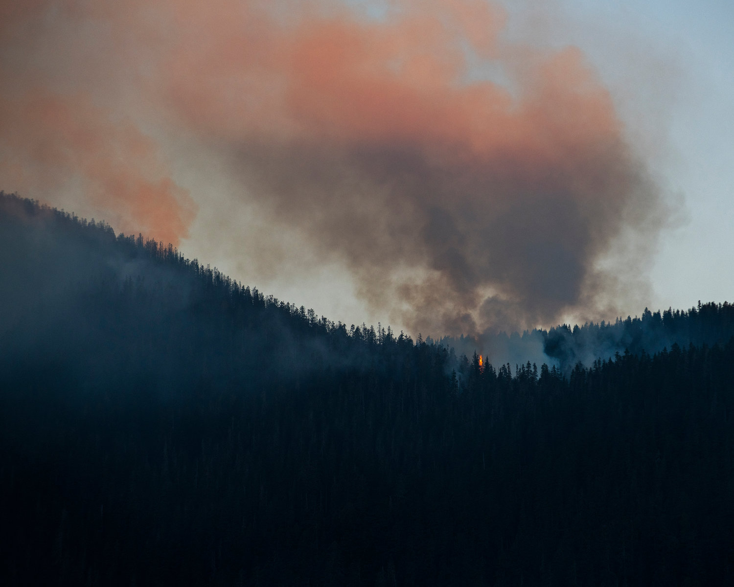 The Goat Rocks Fire consumes trees east of Packwood on Tuesday seen from U.S. Highway 12.
