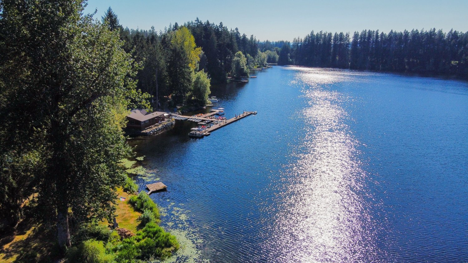 Algae and other vegetation is pictured from above at Offut Lake near Tenino last August.