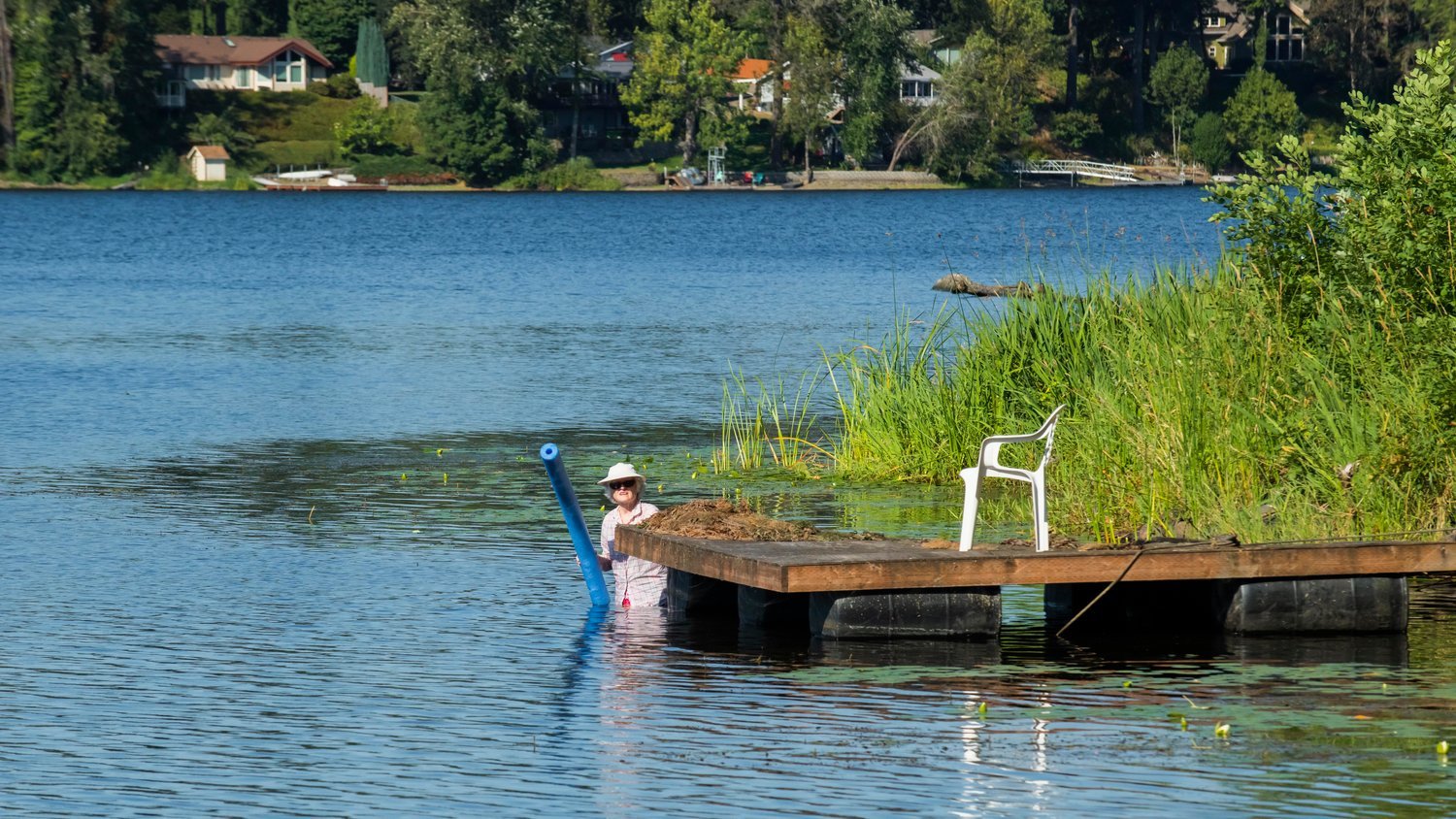Julie Bronson stands in waist deep water at Offut Lake near a dock full of dried weeds last month.
