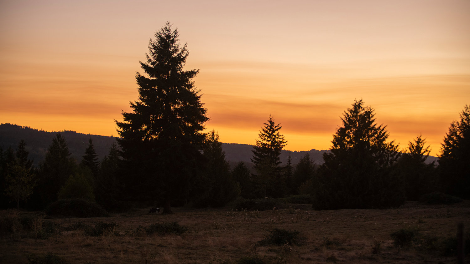 FILE PHOTO — The sun sets over the Willapa Hills seen from Highway 603 near Tune Road.