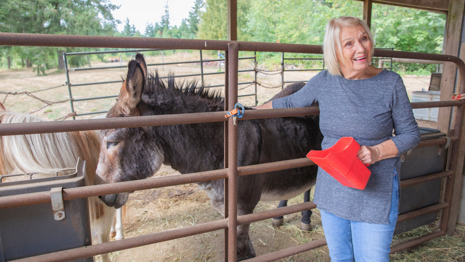 Lynda Lennox talks about Bart the donkey at her property off Scheuber Road in Centralia earlier this week.