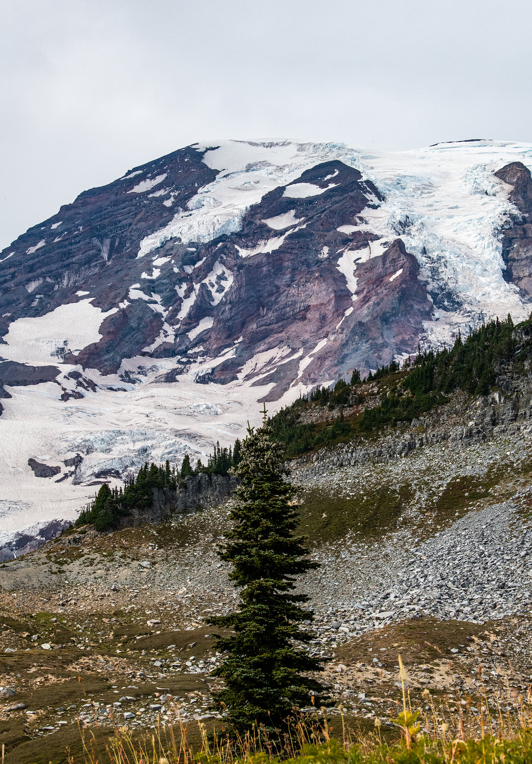 Mount Rainier towers behind rocks and meadows at Paradise on Wednesday.