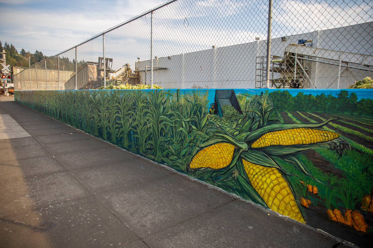 A new mural displays vibrant colors outside the National Frozen Foods Corporation location along Northwest West Street in Chehalis on Thursday. The mural was created by artist Thomas Sutley. It’s the latest mural created through Experience Chehalis, which partnered with National Frozen Foods.
