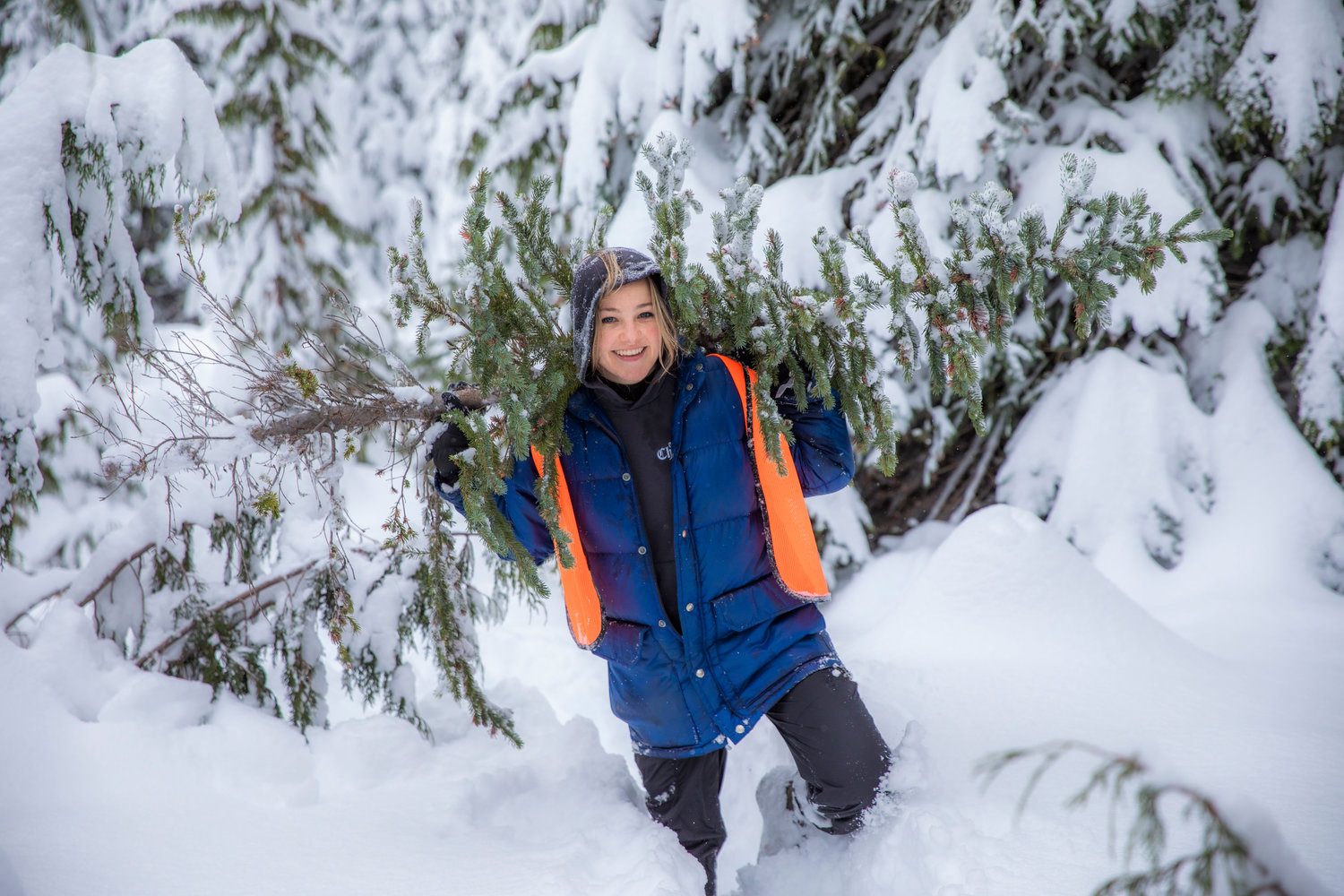 Reporter Isabel Vander Stoep smiles while carrying a spruce through snow after chopping down a tree with a permit from the U.S. Forest Service on Thursday off Forest Road 1284.