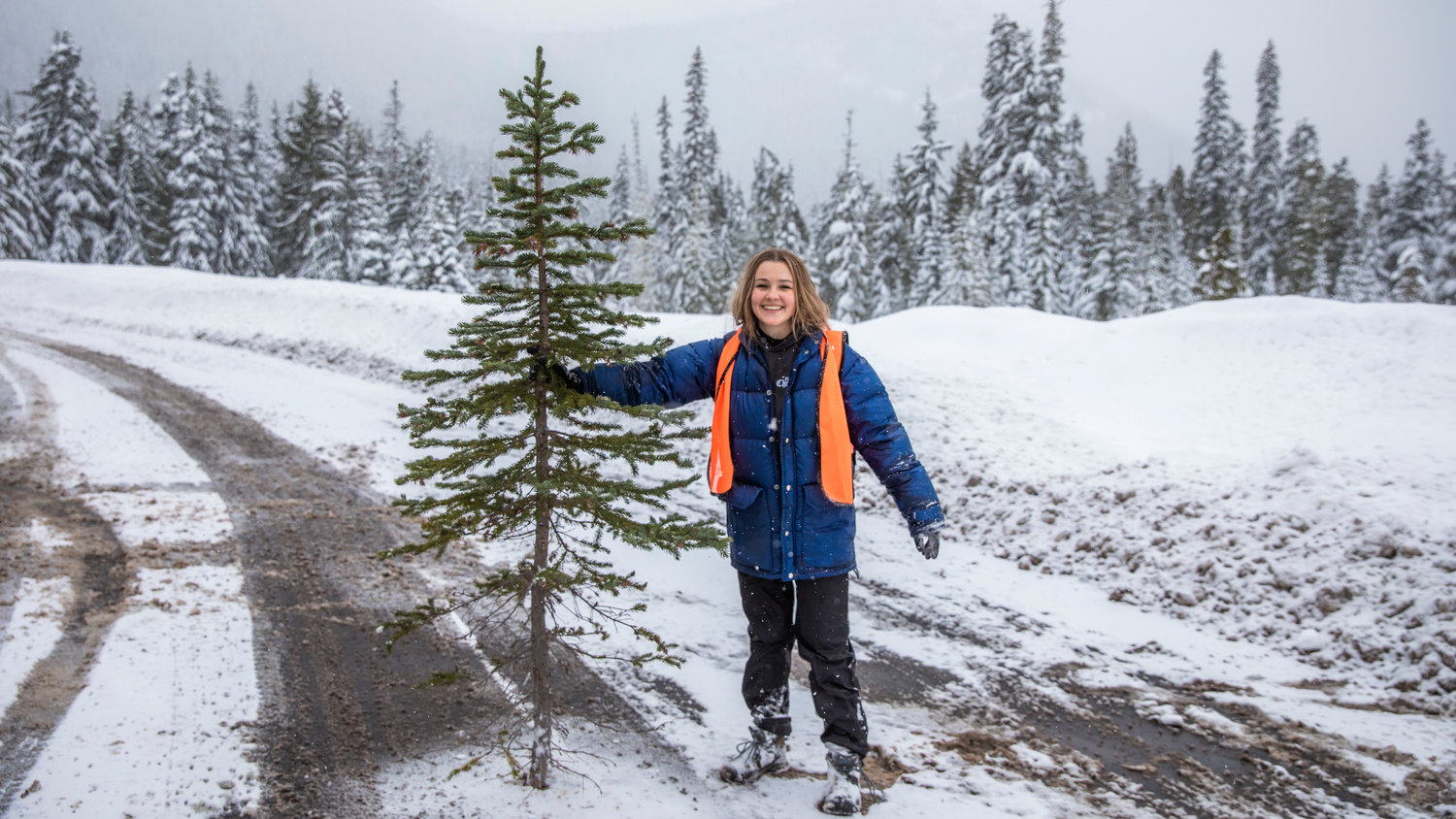Reporter Isabel Vander Stoep smiles after carrying a spruce tree through snow on Thursday near Forest Road 1284.