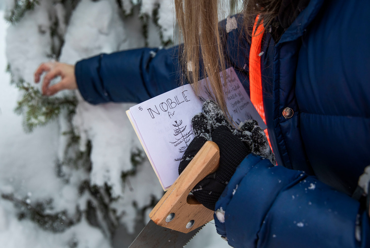 Reporter Isabel Vander Stoep holds up a hand-made field guide while searching for a Christmas tree off Forest Road 1284. The booklet was made possible through Chronicle reader Bruce Reed’s efforts to educate journalists on tree identification.