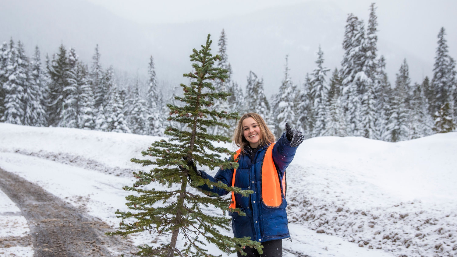 Reporter Isabel Vander Stoep smiles and gives thumbs-up after carrying a spruce tree through snow on Thursday near Forest Road 1284.