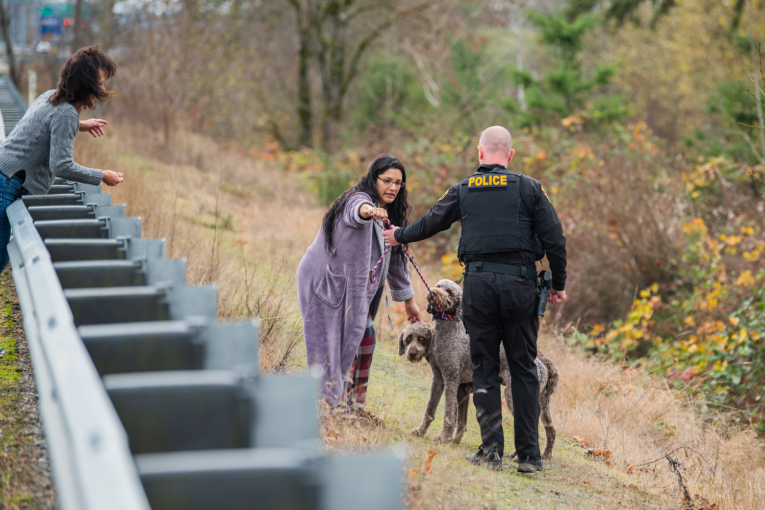Maricruz Valencia, of Rochester, hands a leash to Officer M. King, with the Centralia Police Department, as April Thornton, of Centralia, holds treats in her hand for Buddy and Spike, two poodle-crosses who left their property along Russell Road in Centralia before walking through traffic near Interstate 5 where they were captured off Airport Road and later returned to their owner Friday afternoon.
