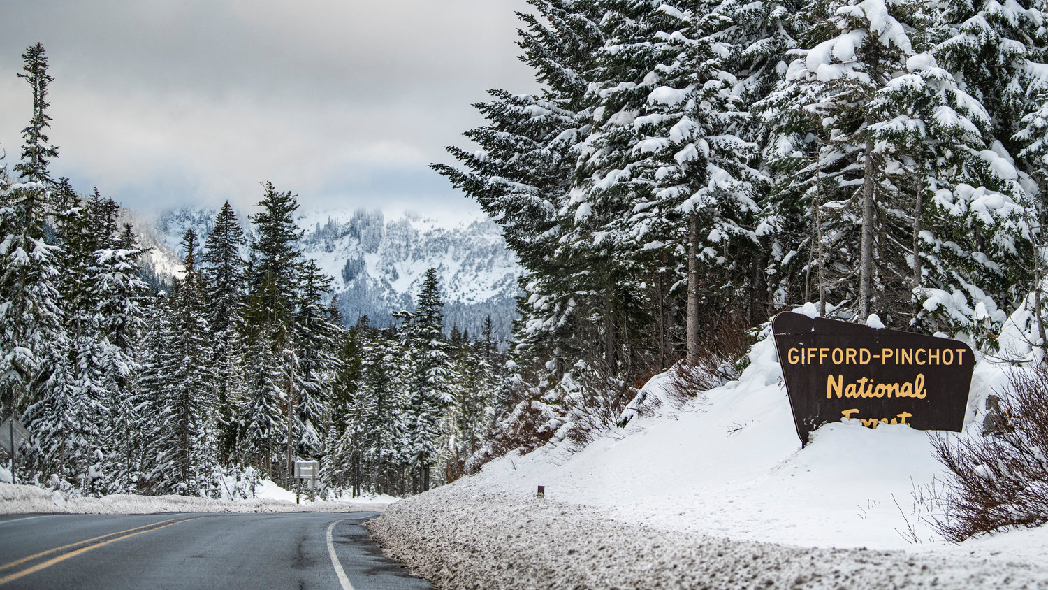 A sign for the Gifford Pinchot National Forest sits beside U.S. Highway 12 near White Pass Ski Area on Tuesday