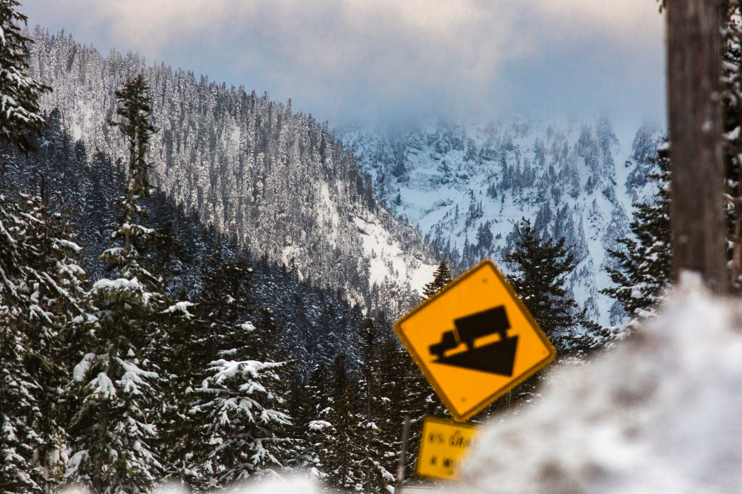 Snow covers trees on the rolling foothills of the Cascade Mountains above U.S. Highway 12 near White Pass on Tuesday.