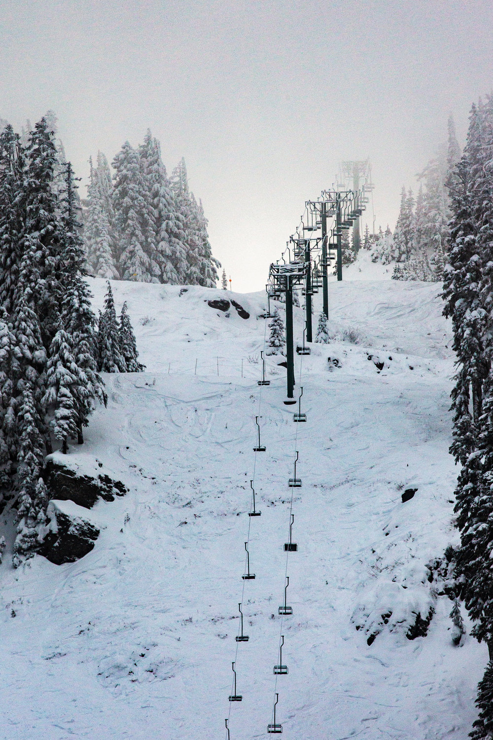 Chair lifts are seen above snow-covered evergreen trees at White Pass Ski Area on the line between Lewis and Yakima counties on Tuesday afternoon.