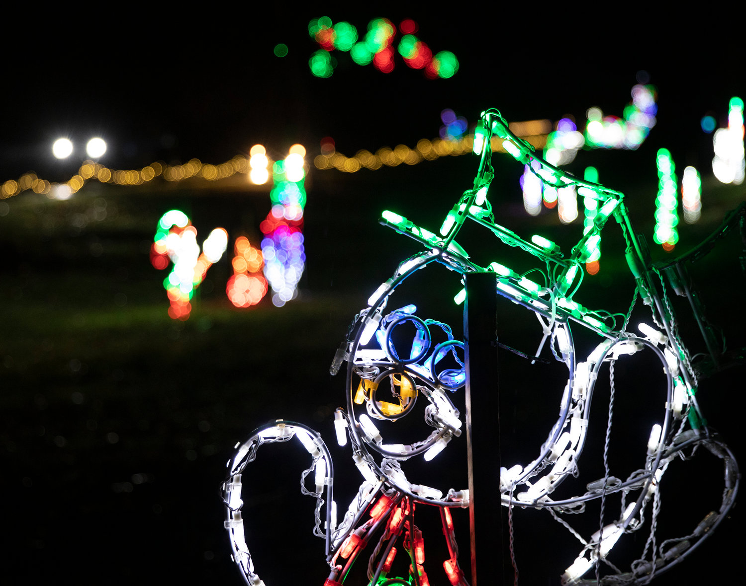 Christmas lights illuminate Fort Borst Park as cars drive through to view the display in December 2022.