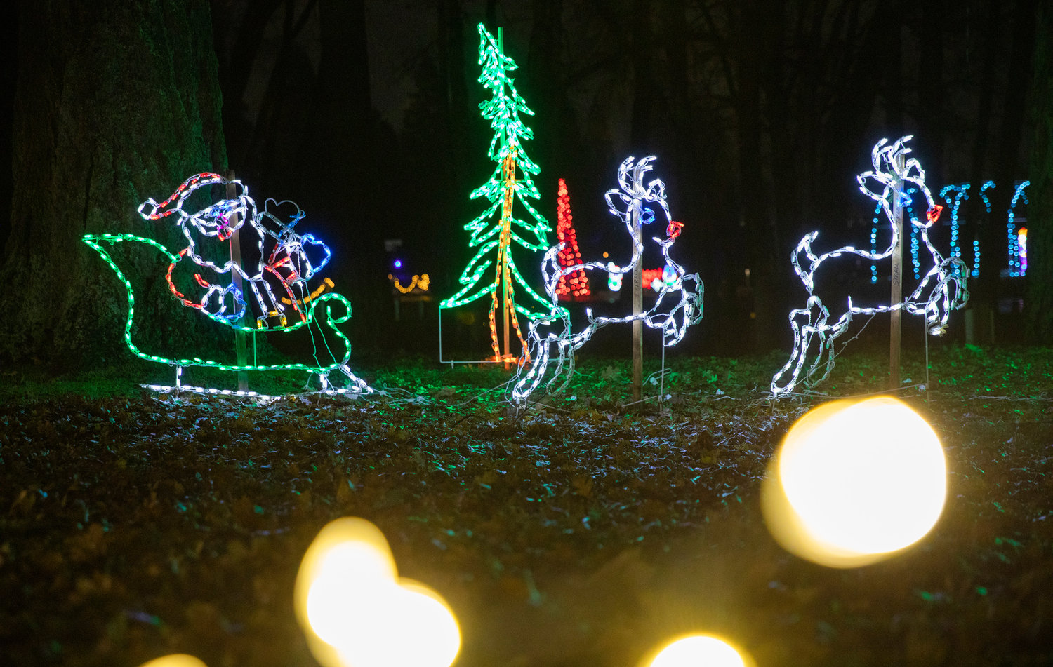 Christmas lights illuminate Fort Borst Park as cars drive through to view the display in December 2022.