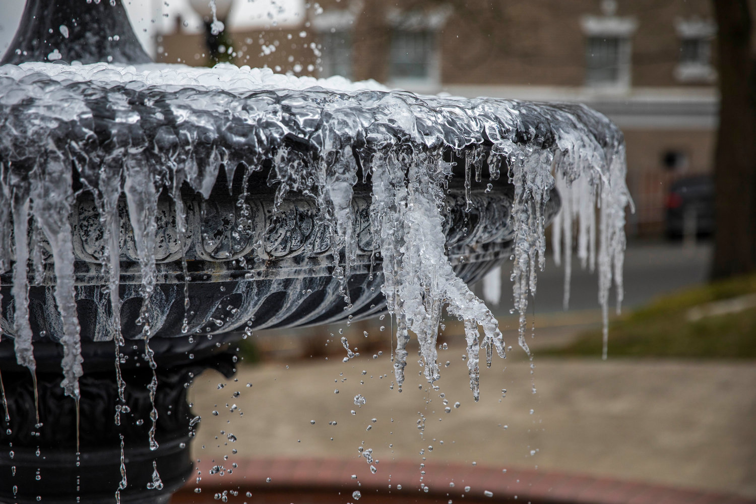 Water droplets form icicles on the fountain outside the Vernetta Smith Chehalis Timberland Library on Thursday.