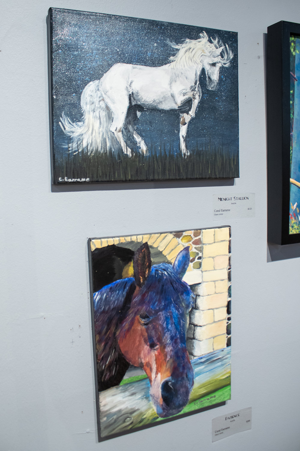 These horse paintings, done by home-schooled freshman Coral Earrame, will be displayed and on sale for the next month at the Rectangle Gallery & Creative Space.