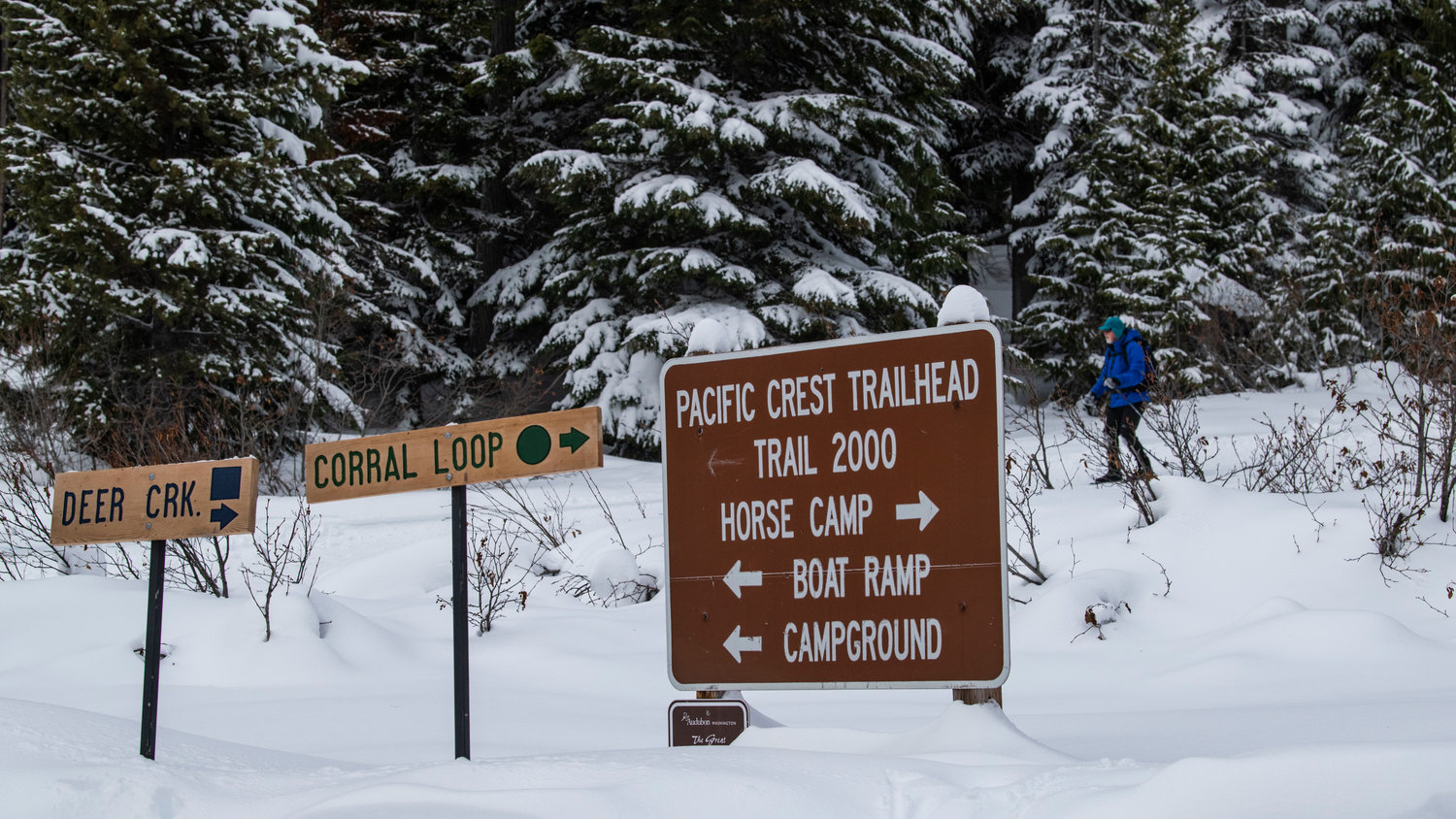 Dennis Pennell, a member of the Olympia Mountaineers, skis past a sign for the Pacific Crest Trail on Sunday at the White Pass Ski Area’s Nordic trails.