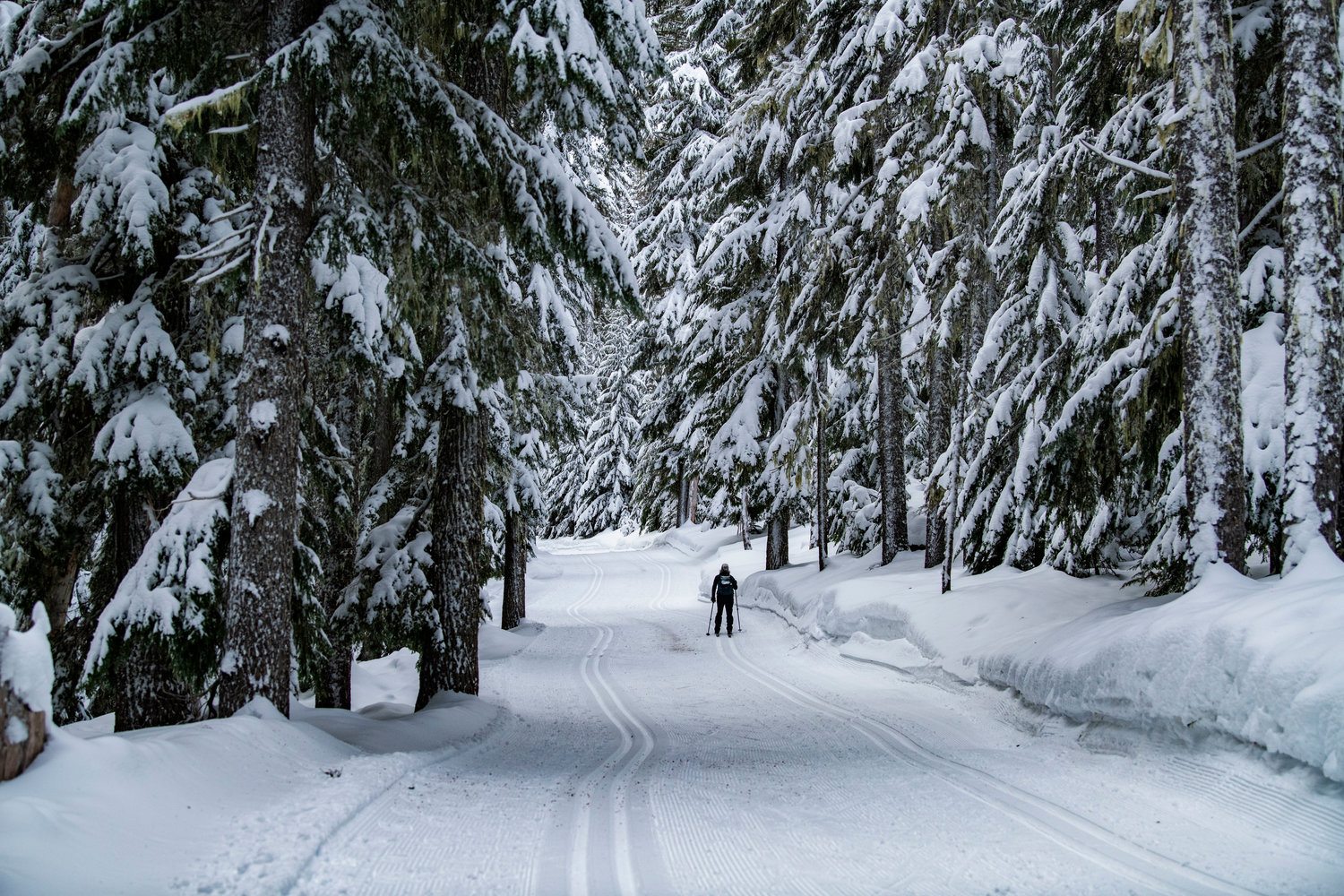 A cross-country skier makes her way down a trail beside Leech Lake at White Pass Ski Area’s Nordic trails last January.