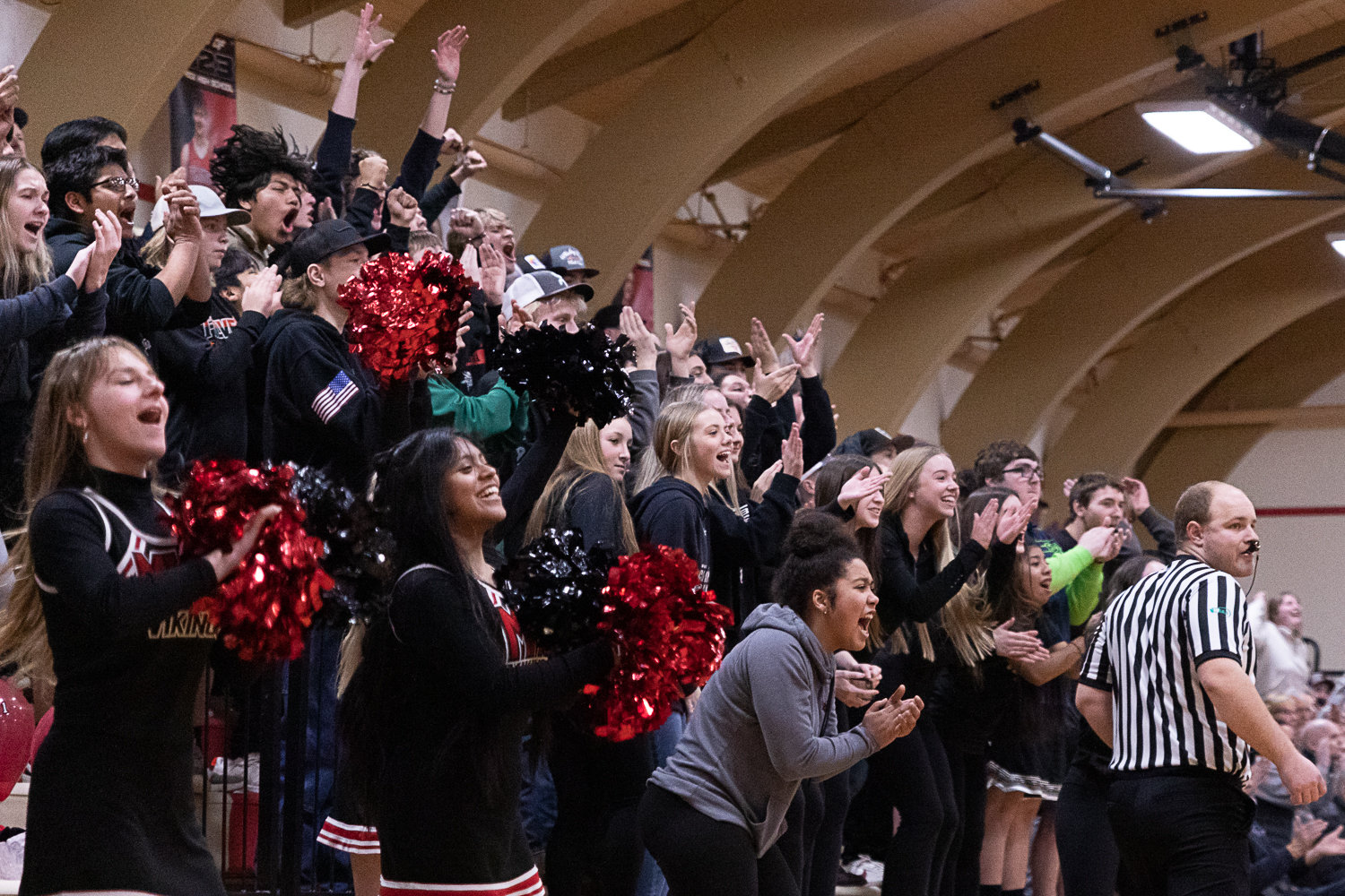 The Mossyrock student section cheers after a big bucket in the Vikings' loss to Willapa Valley Feb. 3.
