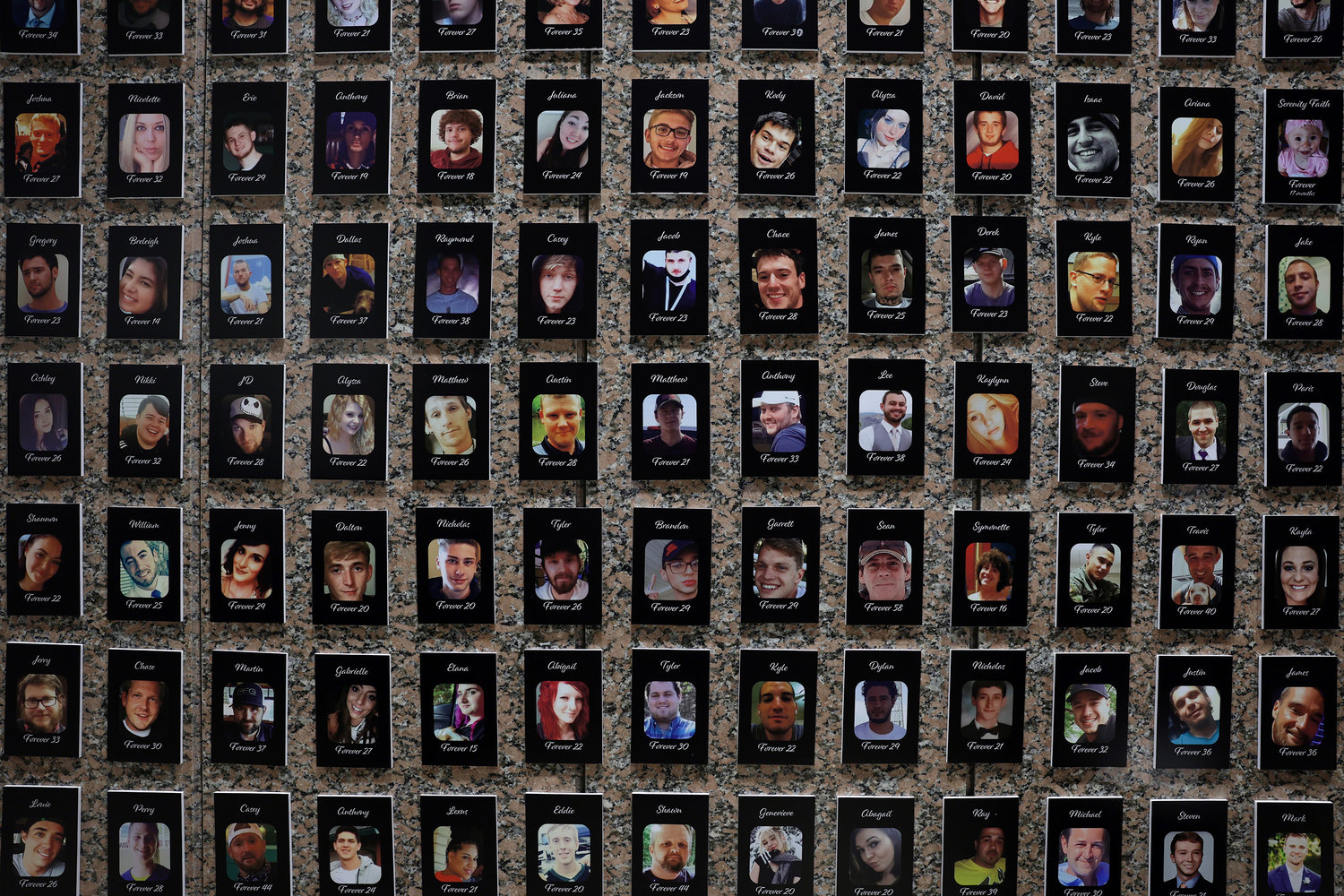 Photos of fentanyl victims on display at The Faces of Fentanyl Memorial at the U.S. Drug Enforcement Administration headquarters on Sept. 27, 2022, in Arlington, Virginia. (Alex Wong/Getty Images/TNS)