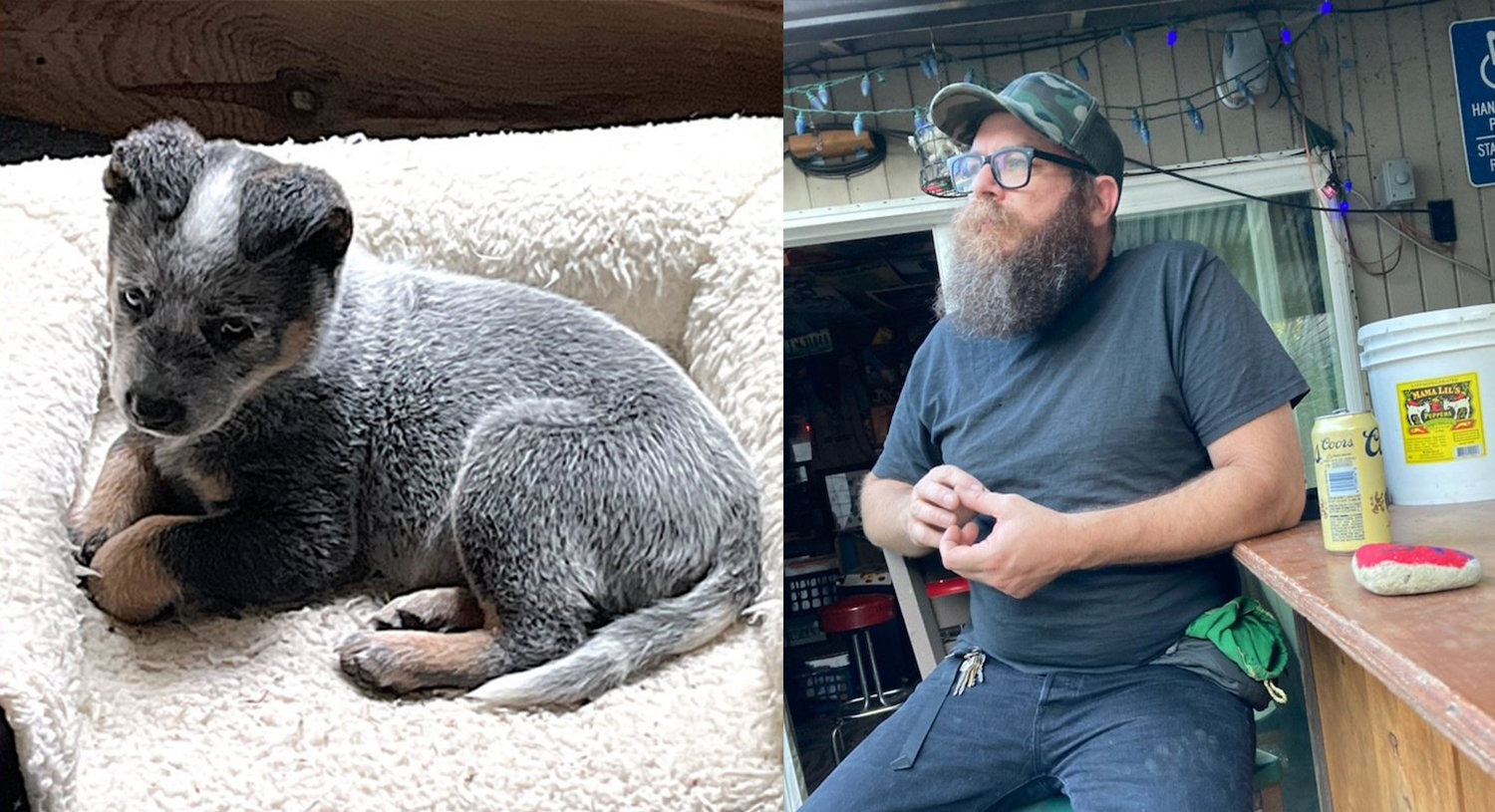 Aron Christensen is pictured along with his dog, Buzzo, in these images previously provided to The Chronicle.