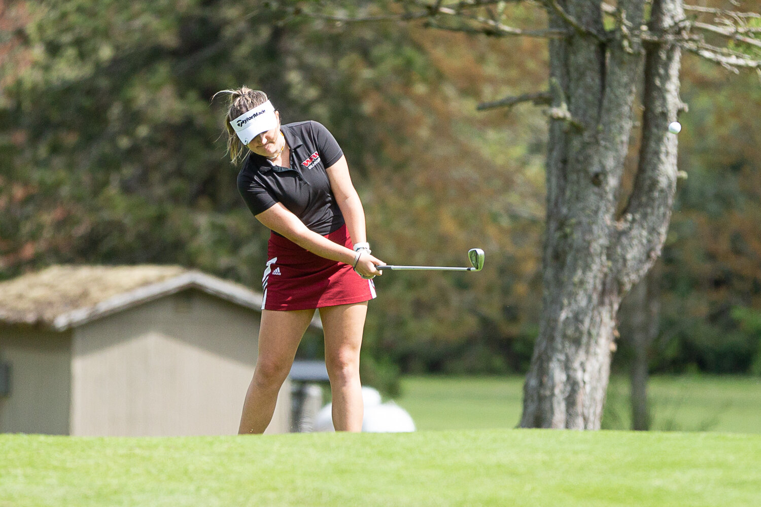 W.F. West's Natalie Eklund chips a shot toward the putting green on the first hole at Tumwater Valley in the 2A EvCo Championships May 9.