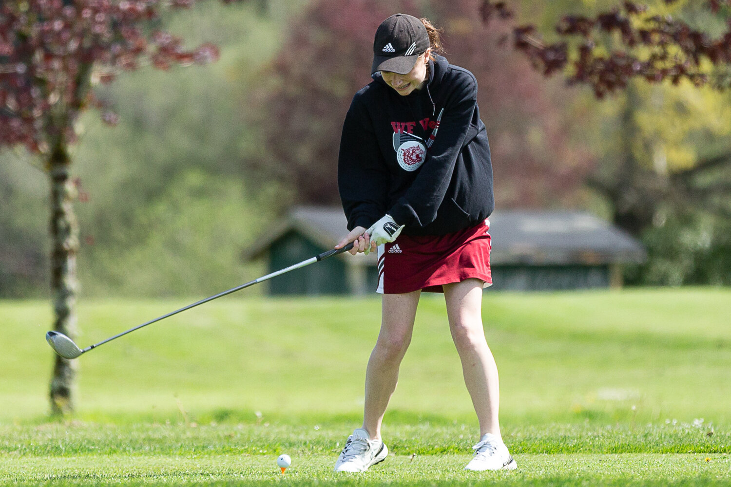 W.F. West's Abby Alexander prepares to tee off at Tumwater Valley Golf Course of the 2A EvCo Championships May 9.