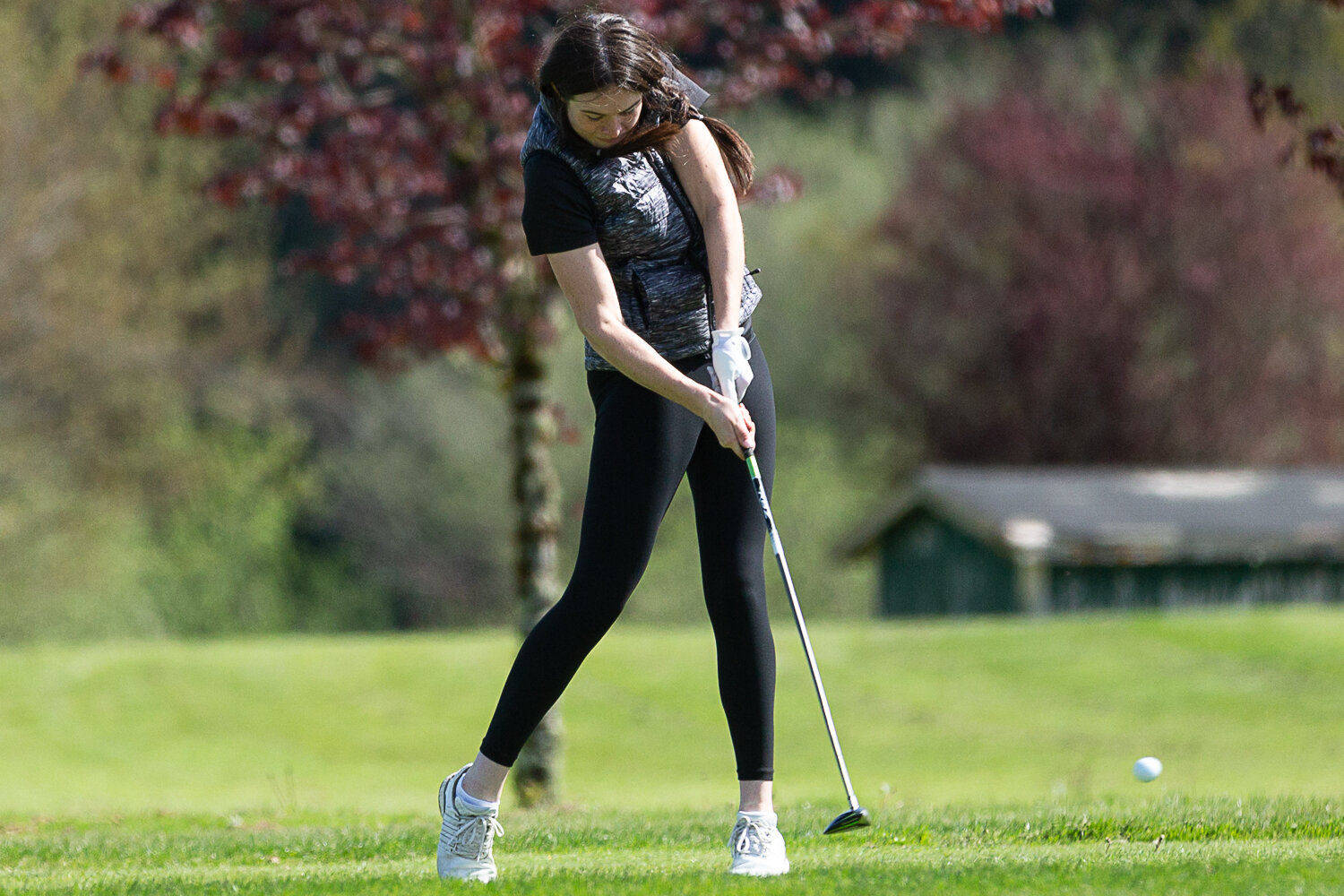 W.F. West's Grace Oien tees off on hole one at Tumwater Valley Golf Course of the 2A EvCo Championships May 9.