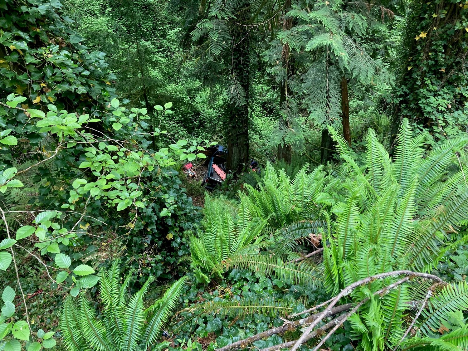 Cowlitz County rescuers saved a 56-year-old man after he was found in his pickup at the bottom of a ravine Sunday morning.