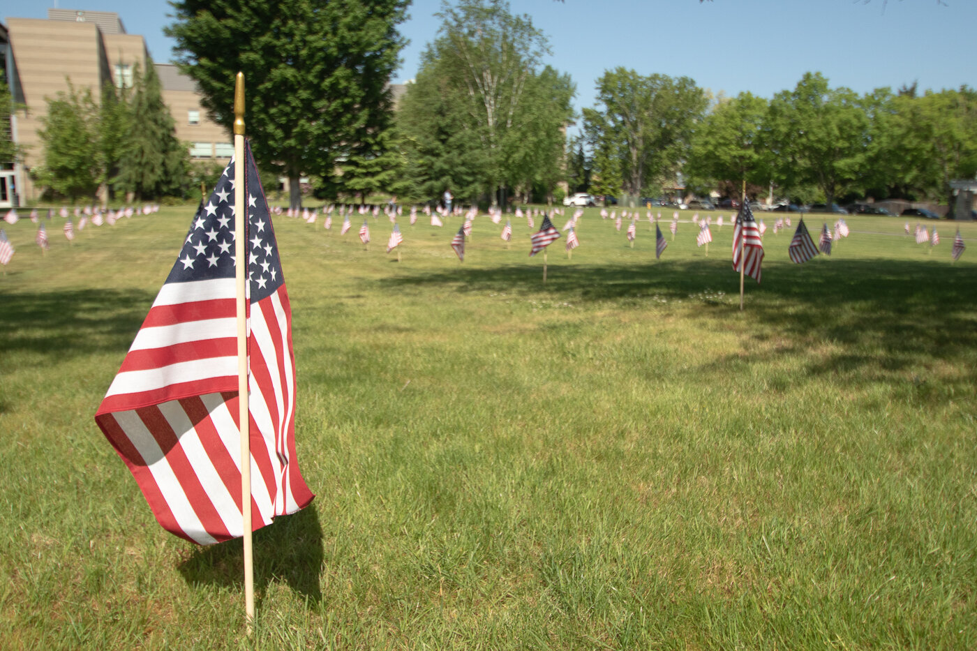 Flags are seen on display Thursday morning in the field north of Centralia College's clock tower as part of the school's Memorial Day ceremony.